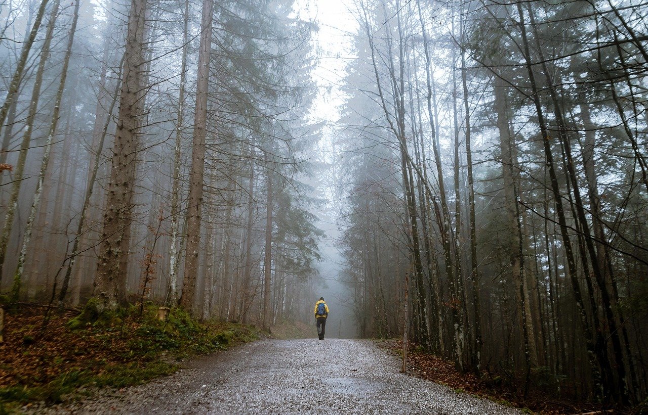 En person med gul jakke og ryggsekk går alene på en grusvei i skogen
